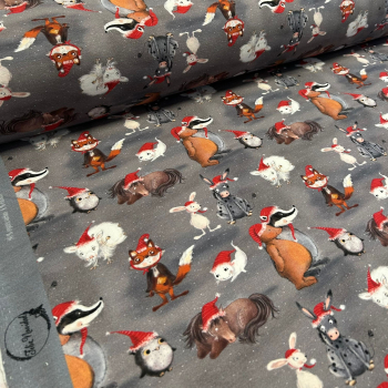 Bio-Summersweat „Feliz Navidad“ - Frau RäuBer und RaBüntze - Weihnachtstiere