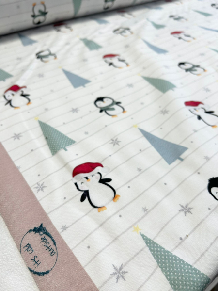 Bio-Summersweat „ its cold Outside“ - Eigenproduktion Stoffladen Leipzig